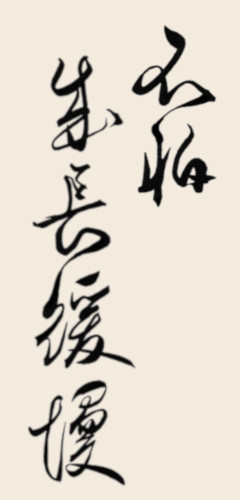 Running Script